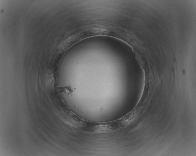 X0000078290320200611031238