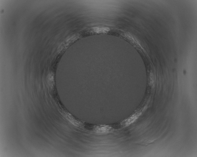 X0000078290321200611031238