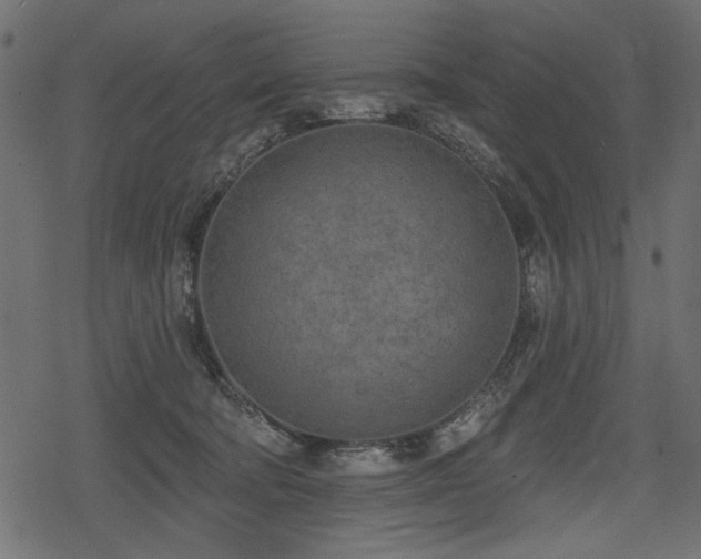 X0000078290322200611031238