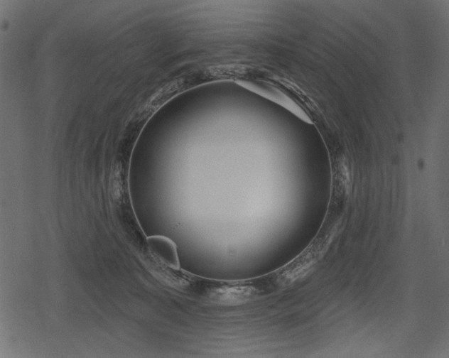 X0000078290323200611031238