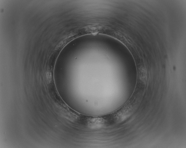 X0000078290324200611031238