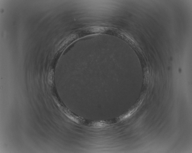 X0000078290325200611031238