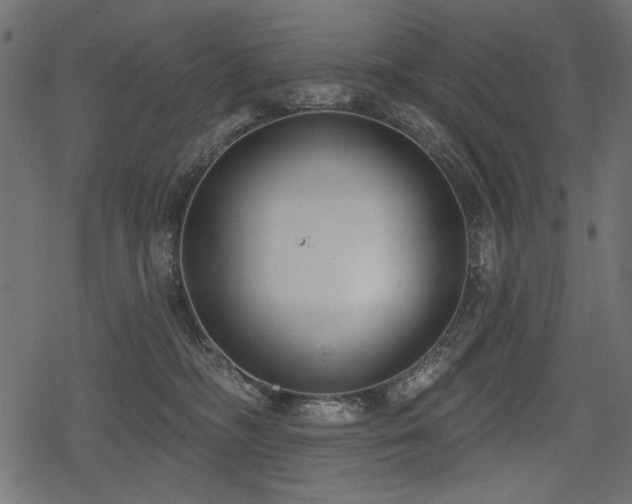 X0000078290326200611031238