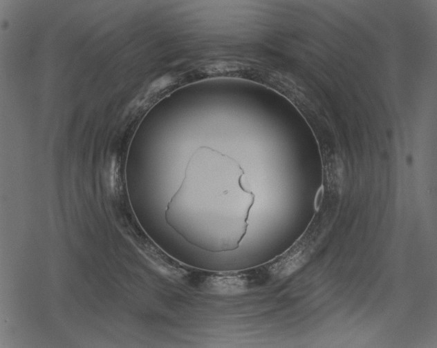 X0000078290327200611031238