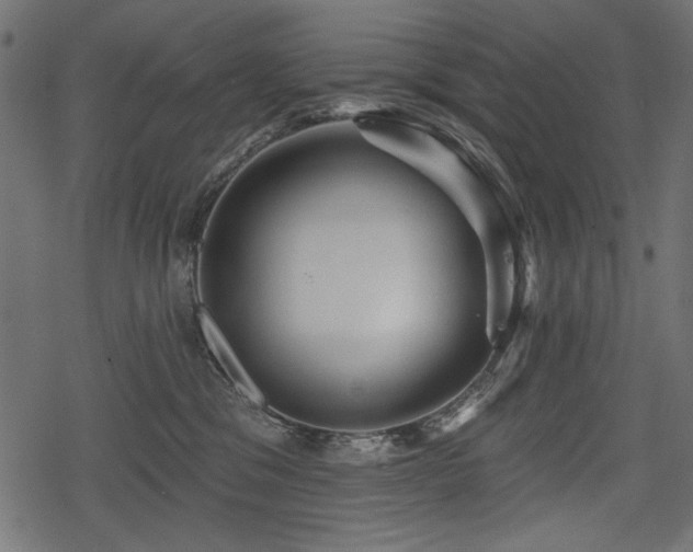 X0000078290329200611031238