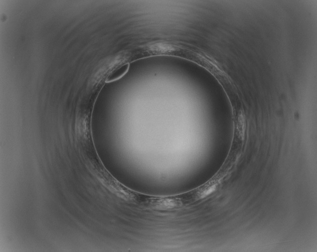 X0000078290330200611031238