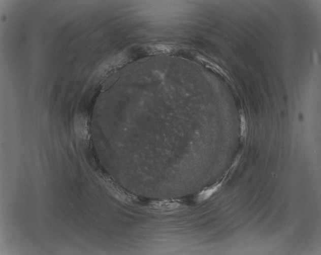 X0000078290331200611031238