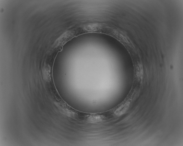 X0000078290332200611031238