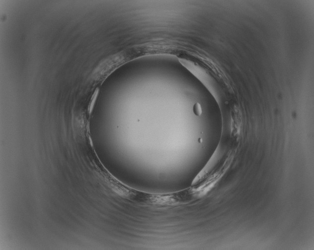 X0000078290333200611031238