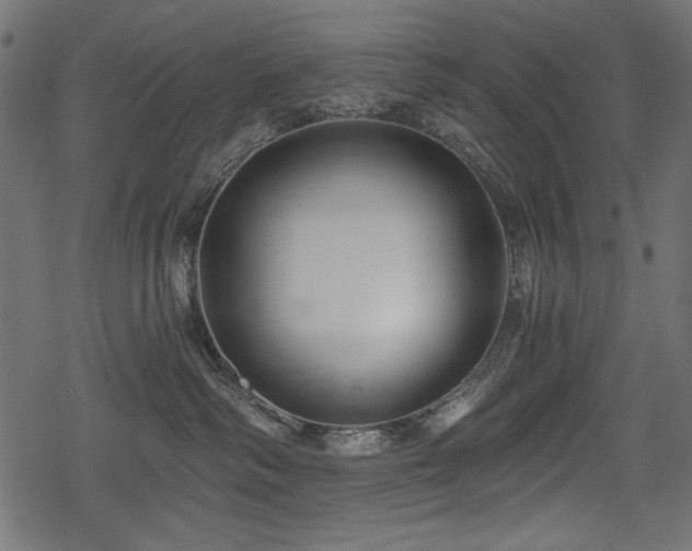 X0000078290334200611031238