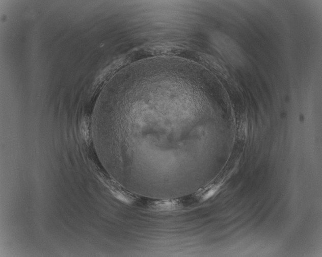 X0000078290335200611031238