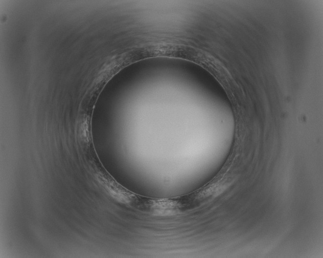 X0000078290336200611031238