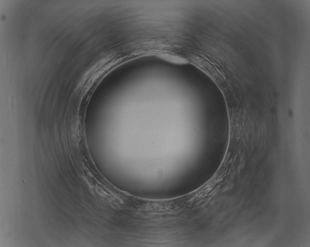 X0000078290338200611031237