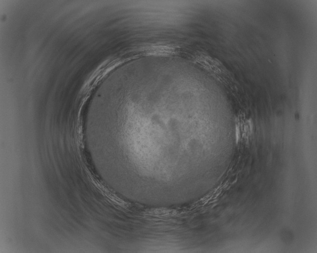 X0000078290339200611031237