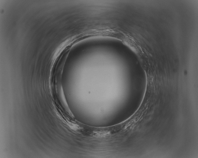 X0000078290340200611031237