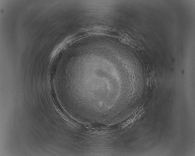 X0000078290341200611031237