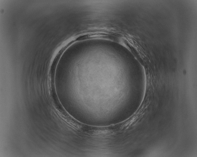 X0000078290342200611031237