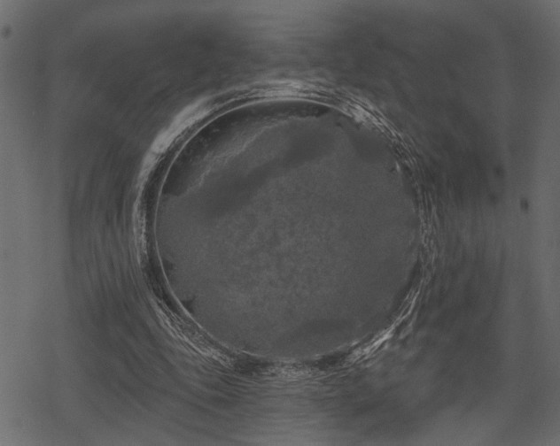 X0000078290343200611031237