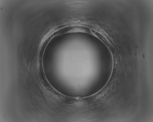 X0000078290344200611031237