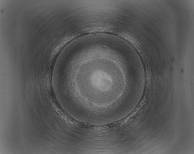 X0000078290345200611031237