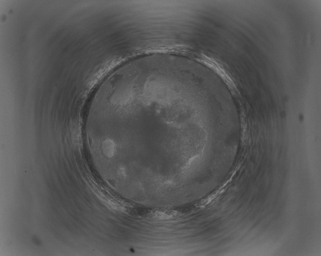 X0000078290346200611031237