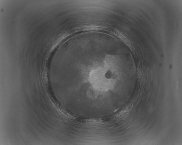 X0000078290347200611031237