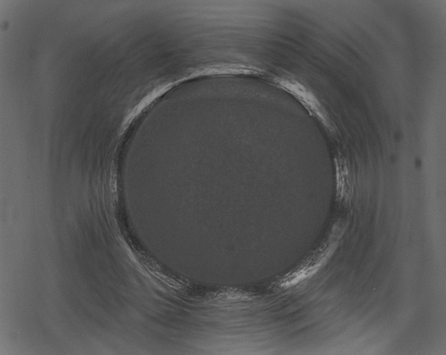 X0000078290348200611031237