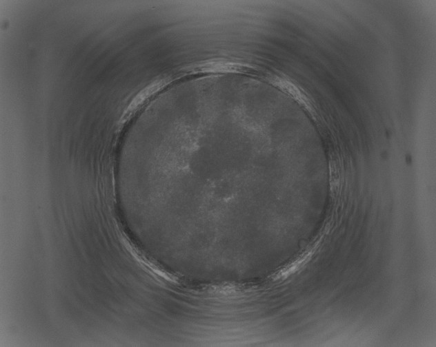 X0000078290349200611031237