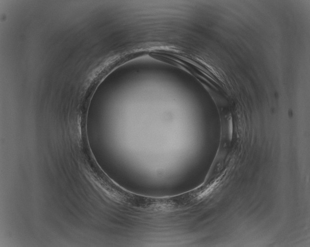 X0000078290350200611031237