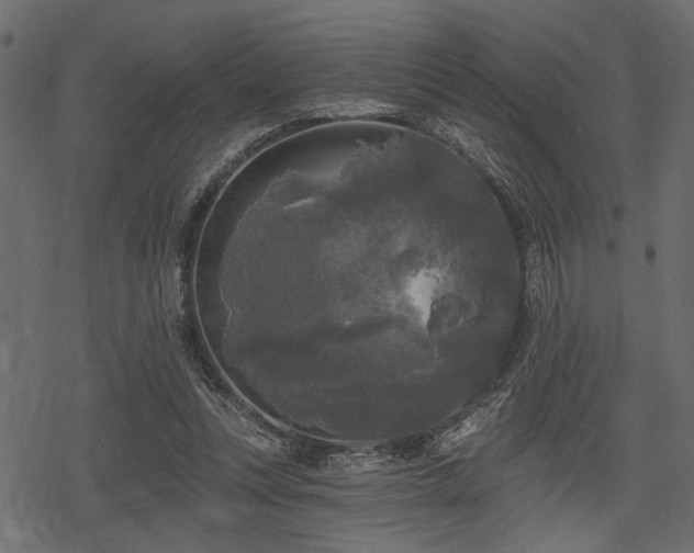 X0000078290351200611031237