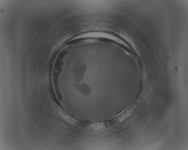 X0000078290353200611031237