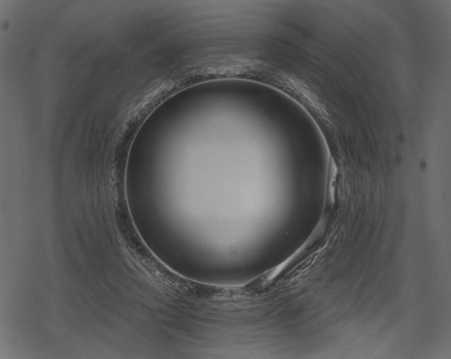 X0000078290354200611031237