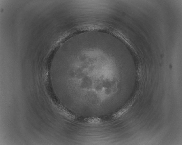 X0000078290355200611031237