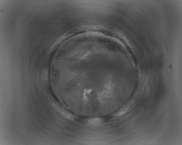 X0000078290357200611031237