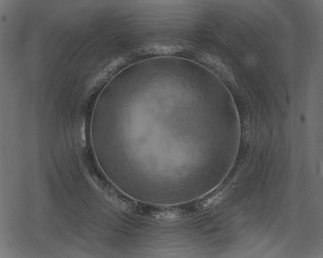 X0000078290358200611031237