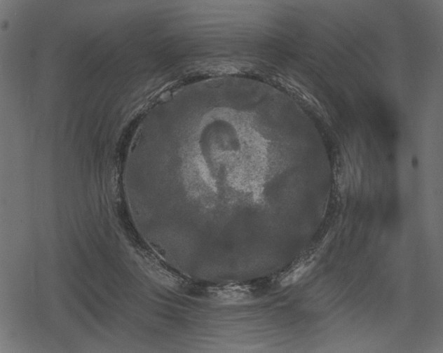 X0000078290359200611031237