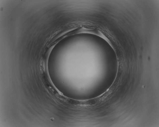 X0000078290360200611031237