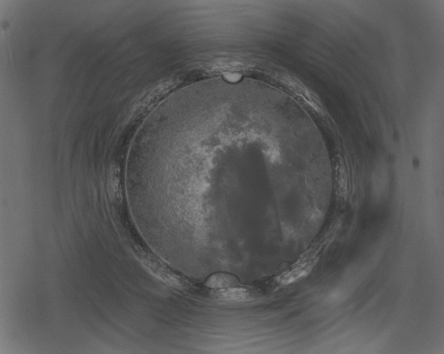 X0000078290361200611031237