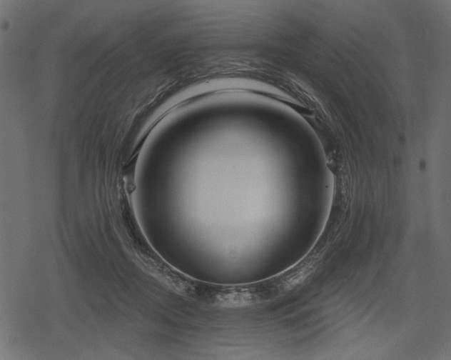 X0000078290362200611031237