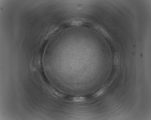 X0000078290363200611031237