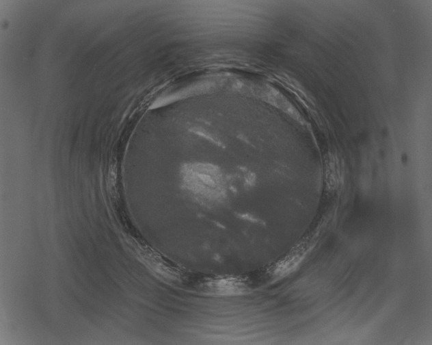 X0000078290365200611031237