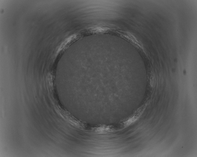 X0000078290366200611031237