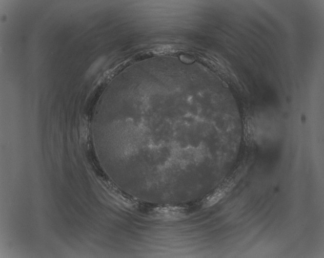 X0000078290367200611031237