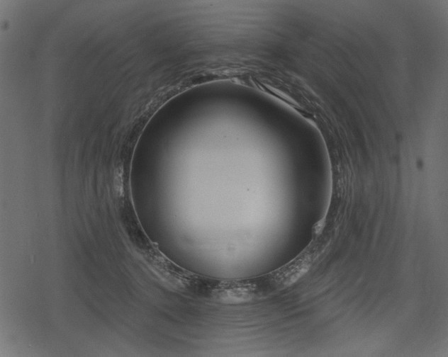 X0000078290368200611031237