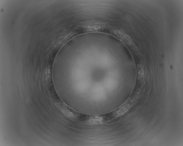 X0000078290369200611031237