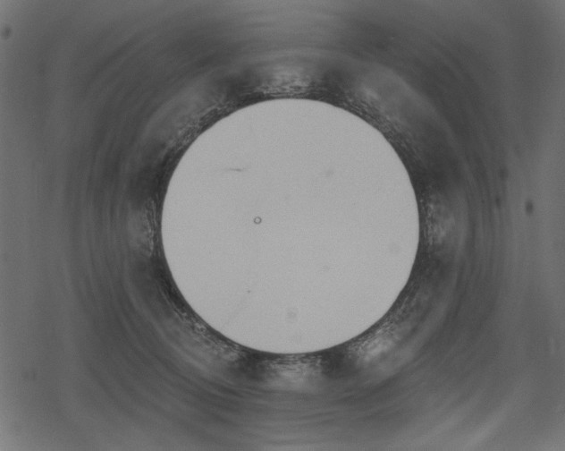 X0000078290370200611031237