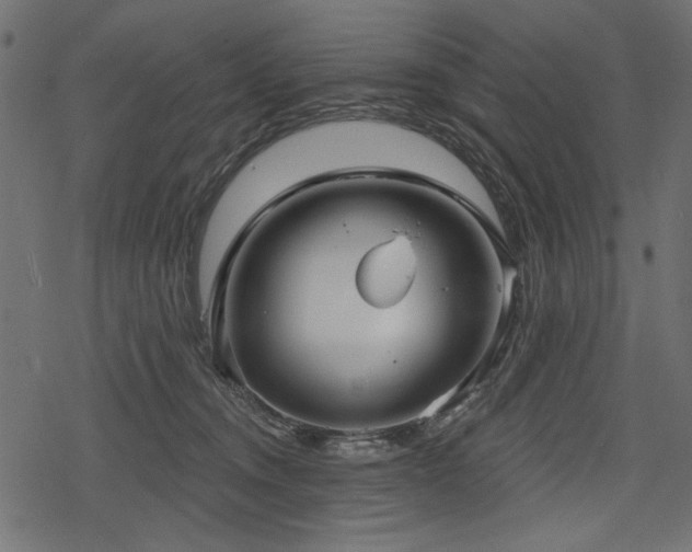 X0000078290372200611031237