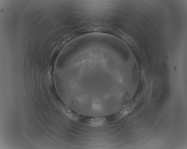 X0000078290373200611031237