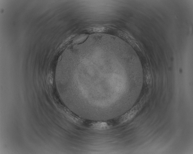 X0000078290374200611031237