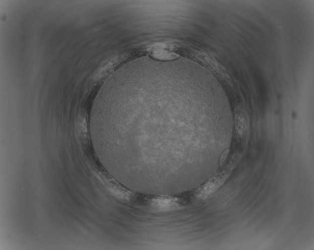 X0000078290375200611031238